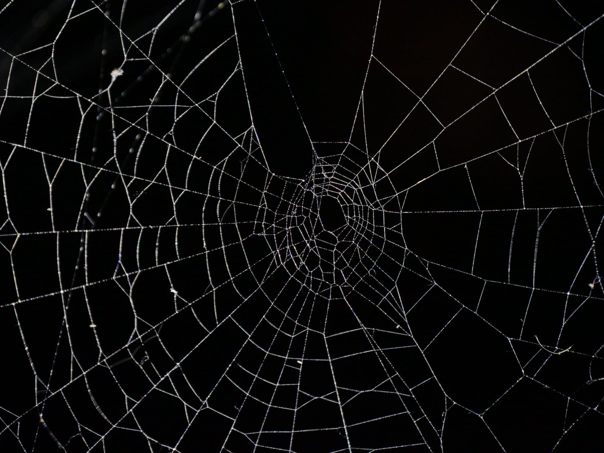 Spin a frightening tale with these 31 Halloween writing prompts.