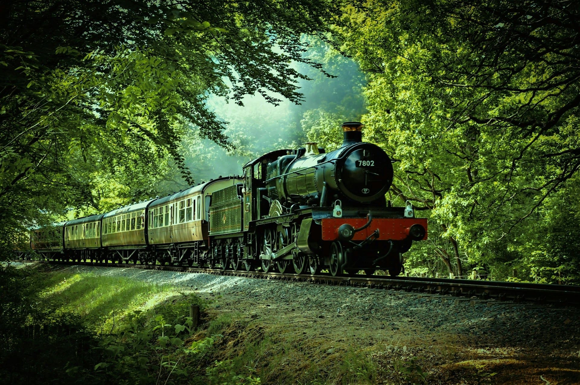 Train going down tracks among large, mature trees. Illustrates idea of author continuing journey after approving proofs from IngramSpark.